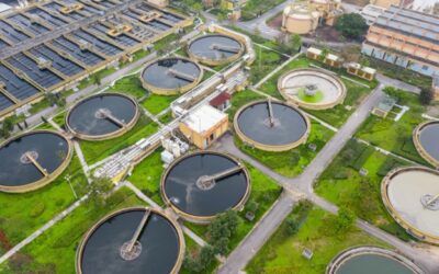 What Is the Difference between Organic Coagulants?