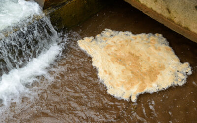 Solutions for Foam Control in Wastewater Treatment