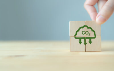 The Future of Specialty Chemicals in a Carbon-Neutral World